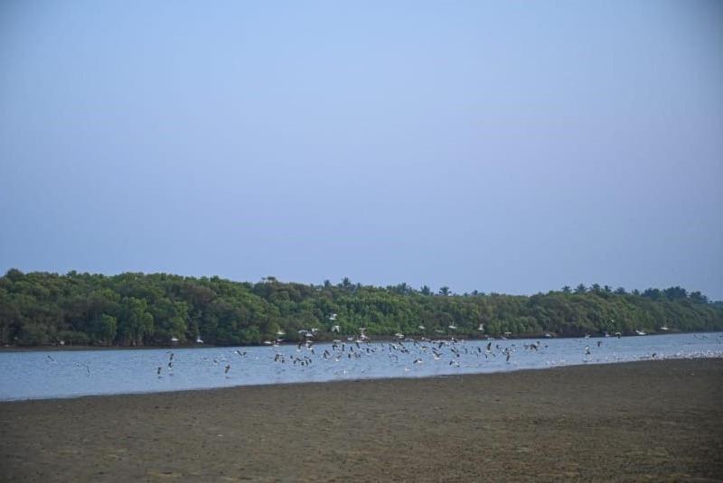 Reunion Ocean Tides Hotel Udupi Exterior photo